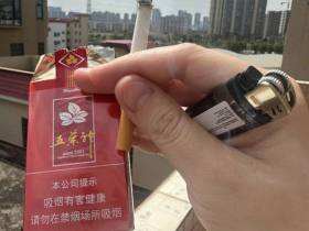 双喜(软红五叶神)