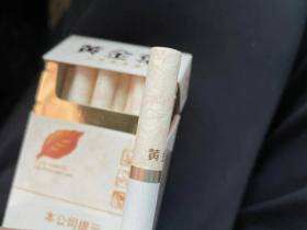 黄金叶(小天叶)