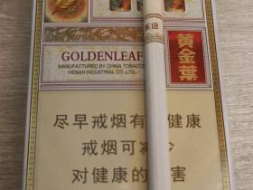 黄金叶(乐途中支)