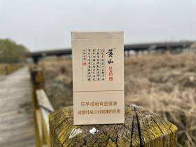 黄山(红方印细支)