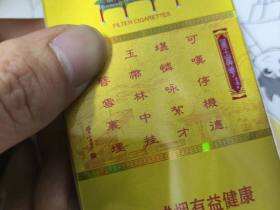 南京(金陵十二钗烤烟)