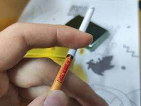 南京(金陵十二钗烤烟)