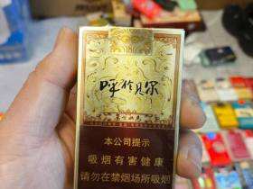 呼伦贝尔(金戈铁马)