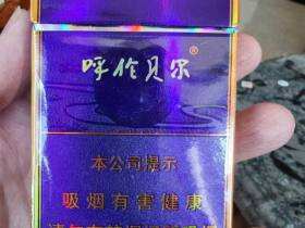 呼伦贝尔(金帐汗)