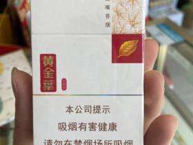 黄金叶(小黄金)