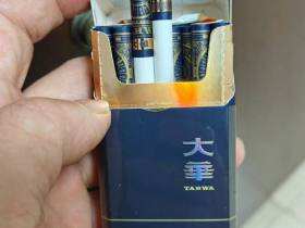 大华(黄金眼中支)