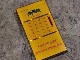 南京(金陵十二钗烤烟)