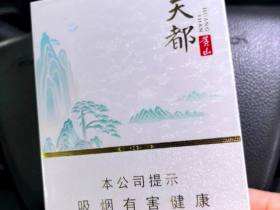 黄山(天都中支)