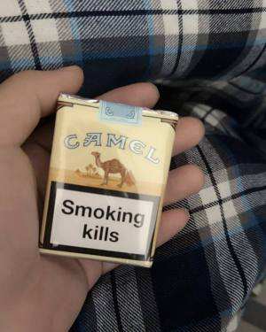 骆驼(无嘴欧盟版)