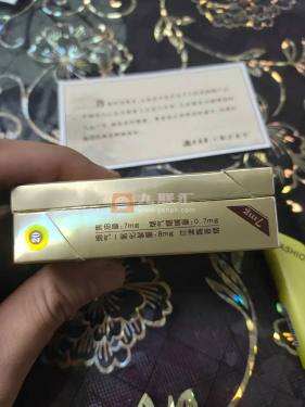 黄鹤楼(滑盖乐道)