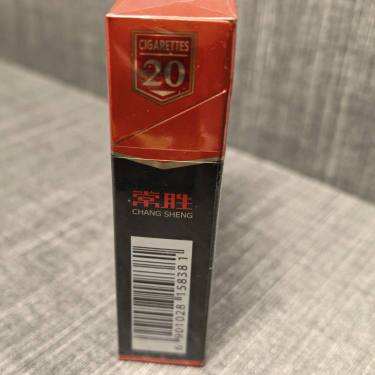 泰山(常胜将军)