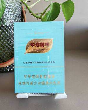 泰山(中海御叶双中支)