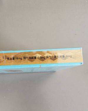 泰山(中海御叶双中支)