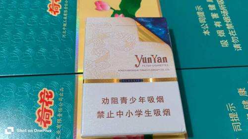 云烟(中支云龙)