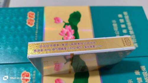 云烟(中支云龙)