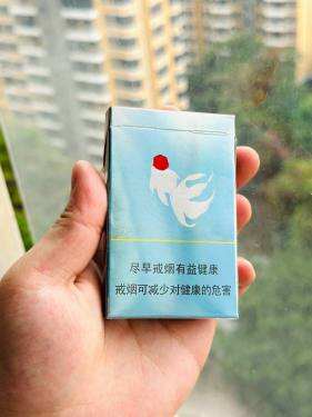 娇子(宽窄好运)