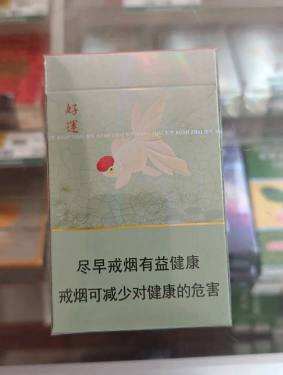 娇子(宽窄好运)