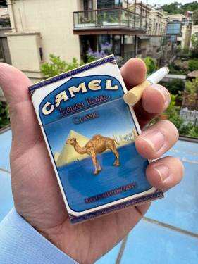 骆驼(皇家科罗拉多含税版)