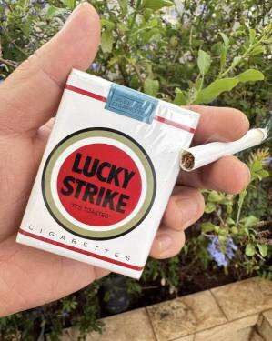 好彩(加州无嘴)