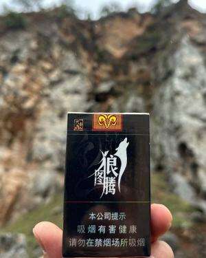 大青山(狼图腾)