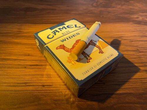 骆驼(硬蓝美免)