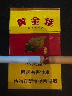 黄金叶(金满堂)