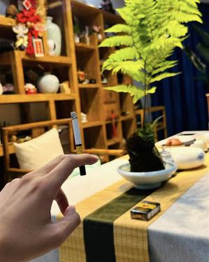 利群(软金色阳光)