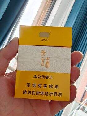 云烟(云端中支)