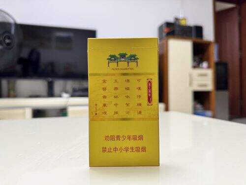 南京(金陵十二钗烤烟)