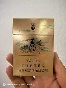 泰山(儒风双中支)