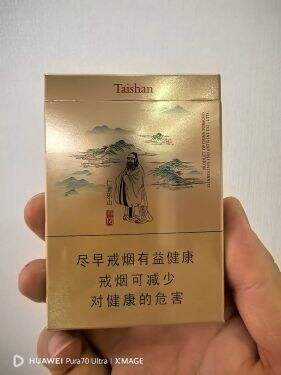 泰山(儒风双中支)