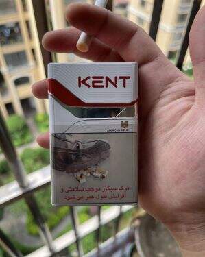 健牌(硬红伊朗加税版)