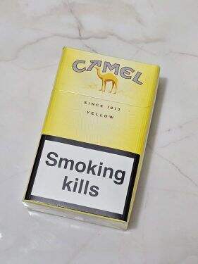 骆驼(硬黄欧盟版)