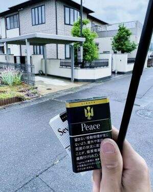 和平(特醇硬日版)