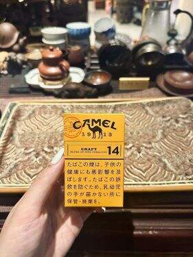 骆驼(CRAFT14mg日版)