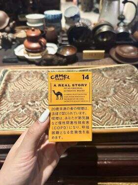 骆驼(CRAFT14mg日版)