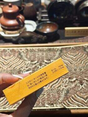 骆驼(CRAFT14mg日版)