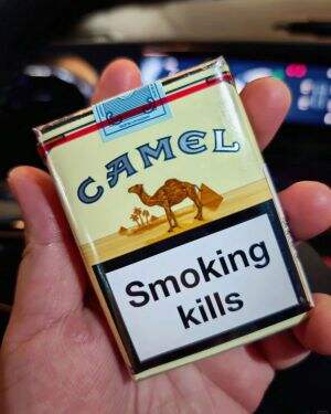 骆驼(无嘴中南半岛免税)