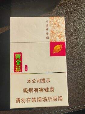 黄金叶(小黄金)