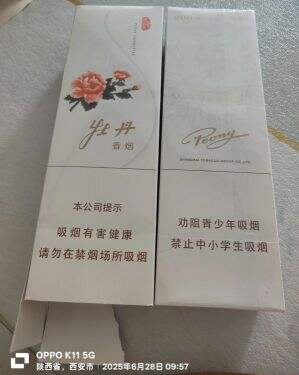 牡丹(真国色白中免版)