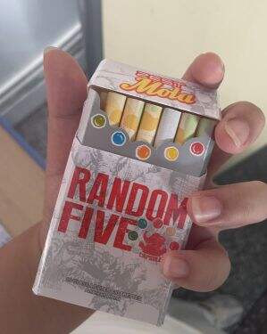 铁塔猫(象之谜韩免版)