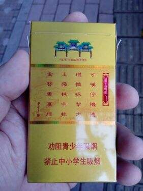 南京(金陵十二钗烤烟)