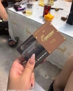 卡比龙(总裁棕色俄罗斯版)