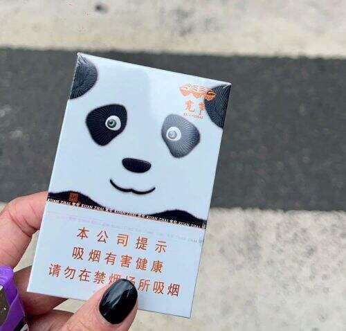 娇子(宽窄国宝)