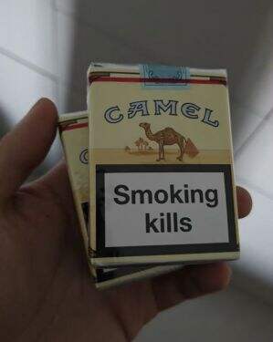 骆驼(无嘴欧盟版)