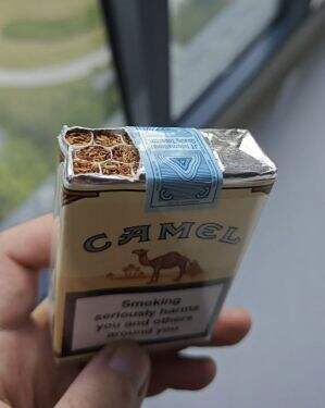 骆驼(无嘴欧盟版)