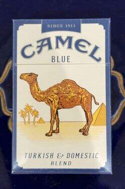 骆驼(硬蓝美免)