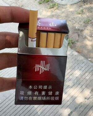 黄山(国宾迎客松)