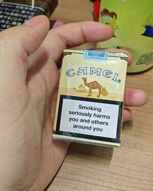 骆驼(无嘴欧盟版)