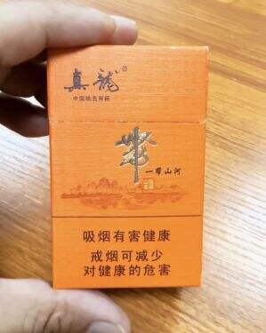 真龙(一带山河)